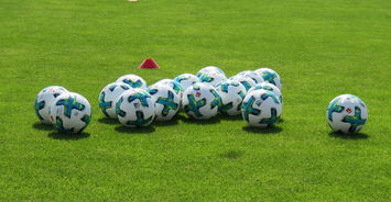 九游官网下载电脑版-中国足球青训体系建设加强地方教练考评制度落地,全国青少年校园足球教练员国家级专项培训课教案