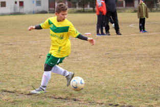 九游(jiuyou)官方网站-国家队引入国际高端运动营养专家,提升青少年运动员营养水平,国家运动营养师国家认可吗